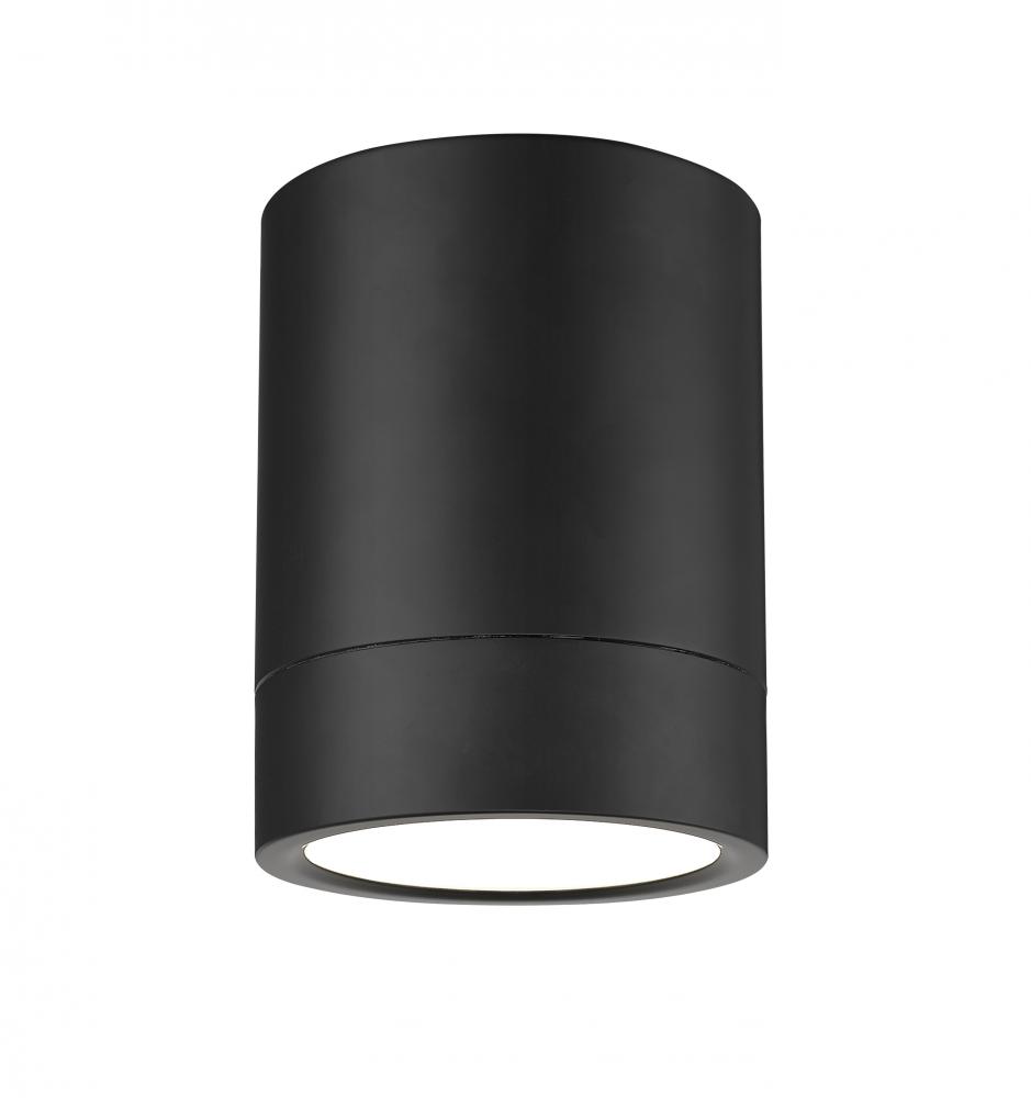 1 Light Flush Mount