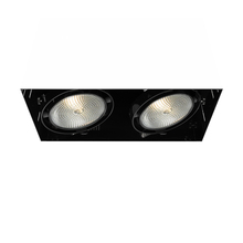 Eurofase TE222-01 - MuLT, Par30, Trimlss, 2LT , 75w, Blk