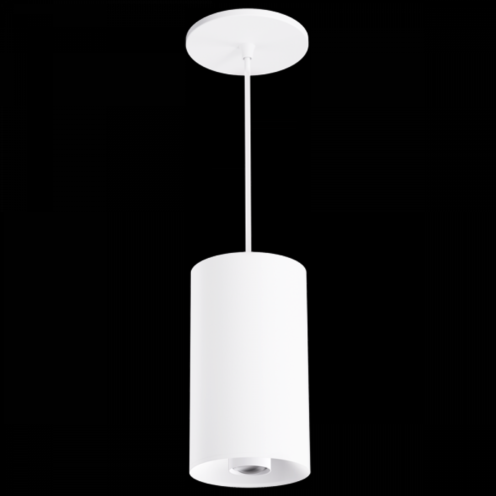 4? Sylo Pendant with Koto Focus Module