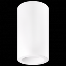 Elco Lighting ESF42710CT5W - 4? Ply Sylo Surface Mount