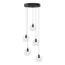 Hubbardton Forge 131123-SKT-STND-14-ZM0709 - Ume 5-Light Pendant