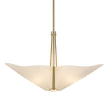 Hubbardton Forge 133303-SKT-MULT-86-SH1994 - Kirigami 3 Light Pendant