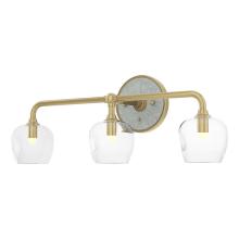 Hubbardton Forge 201342-SKT-86-82-ZM0709 - Ume 3-Light Curved Arm Bath Sconce