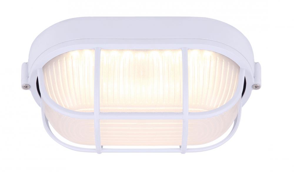 White LED Outdoor Light, 11.7W, 819 Lumens