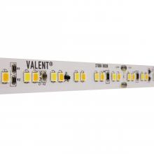 Diode Led DI-24V-VL1-WD3020-100 - STRIP/TAPE LIGHT