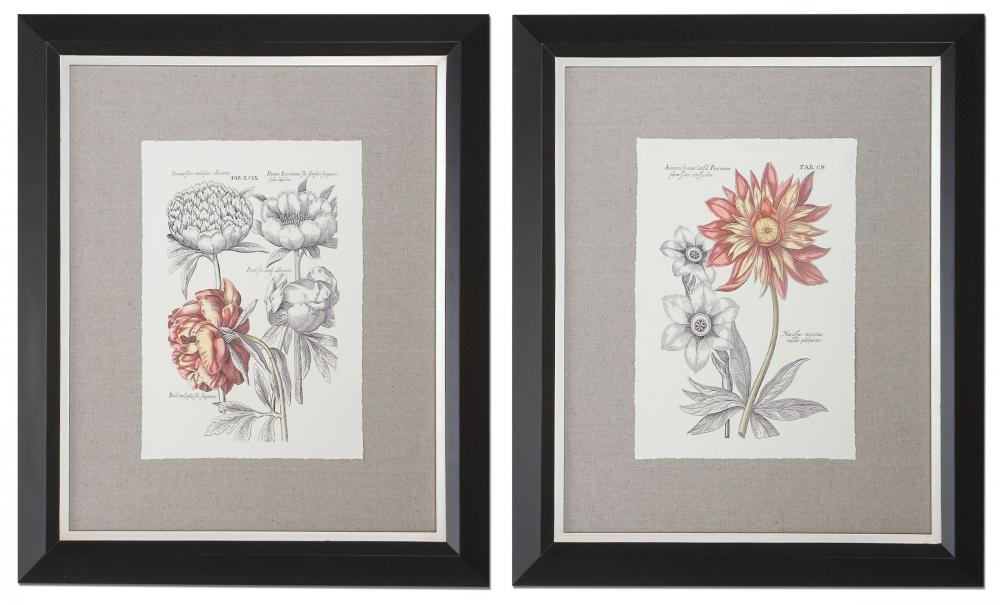 Tinted Florals Framed Art, S/2