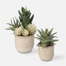 Uttermost 60208 - Seaside Succulents, Set/2