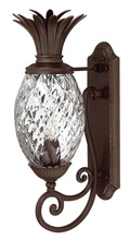 Hinkley 2220CB - Large Wall Mount Lantern