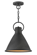 Hinkley 3557DZ - Medium Pendant